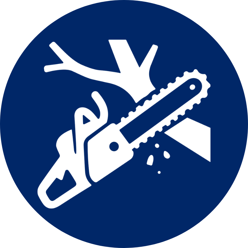storm cleanup-icon-white