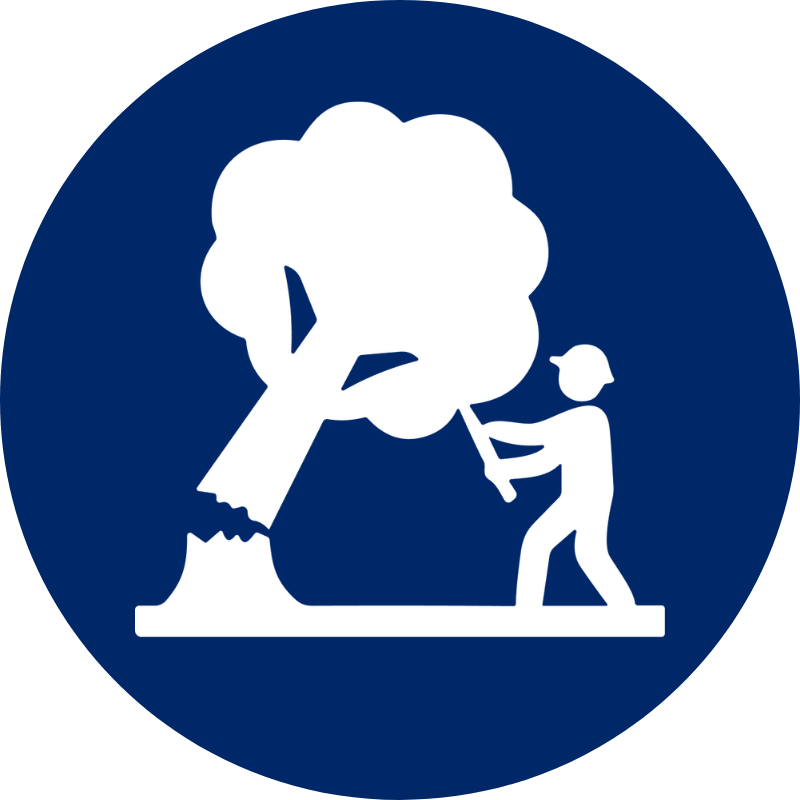 tree removal-icon-white
